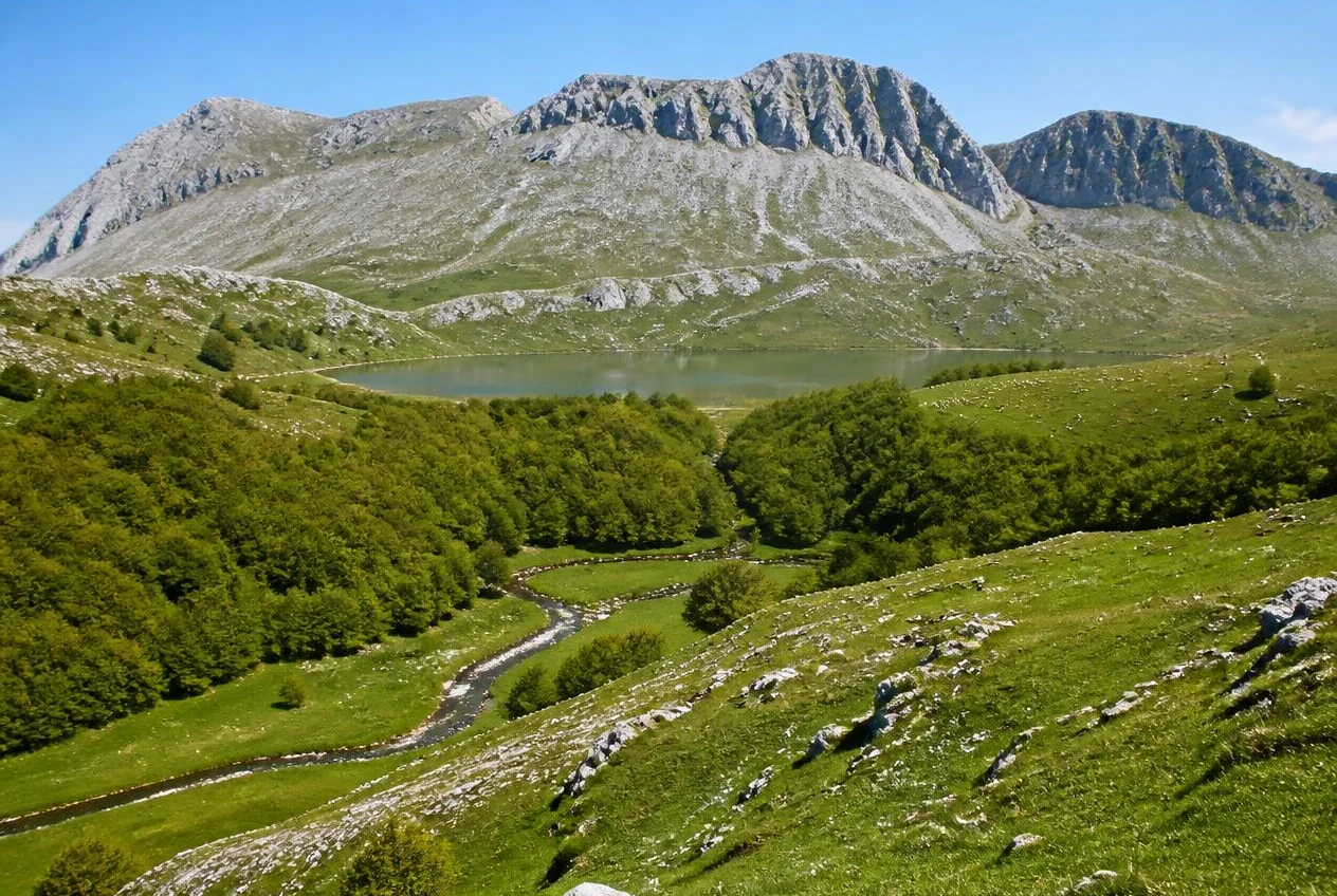 Pascoli e faggete del massiccio del Matese molisano con mandrie al pascolo