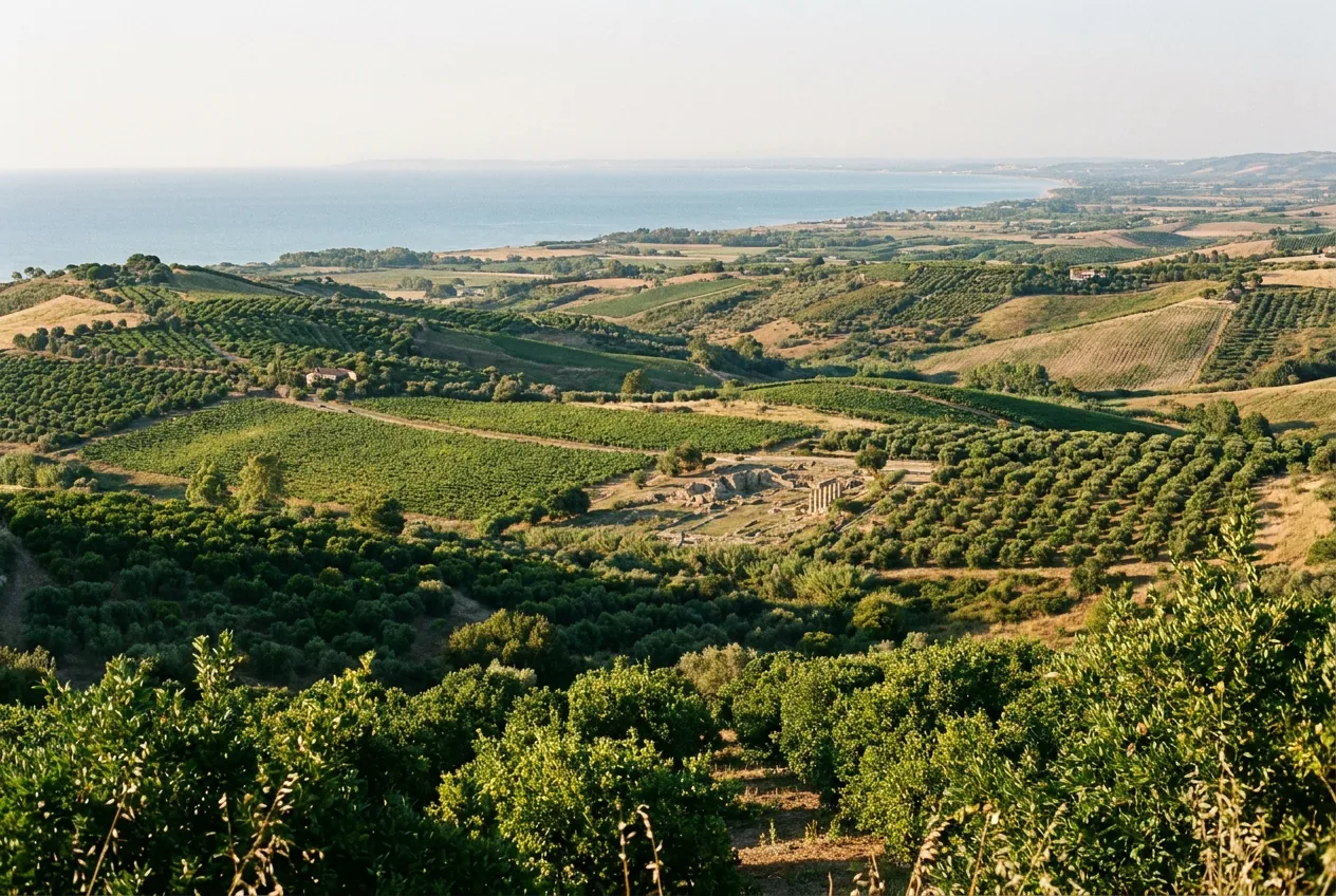 Campagna coltivata del Metapontino con agrumeti e la costa ionica sullo sfondo