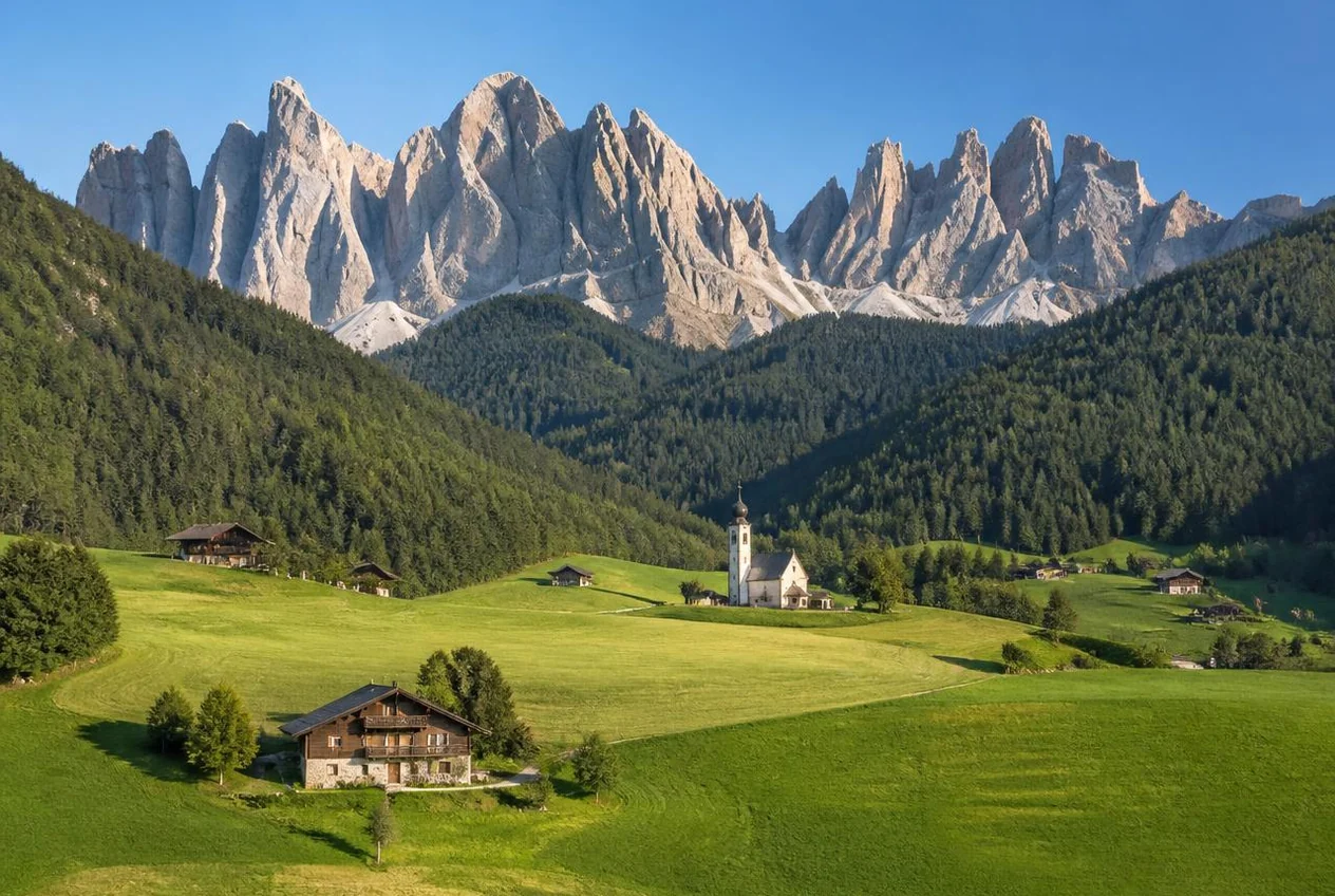 I masi della Val Venosta con i meleti in fiore e le Alpi sullo sfondo