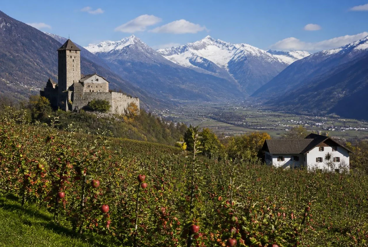 Il centro storico di Bolzano con i vigneti terrazzati della Val d'Adige
