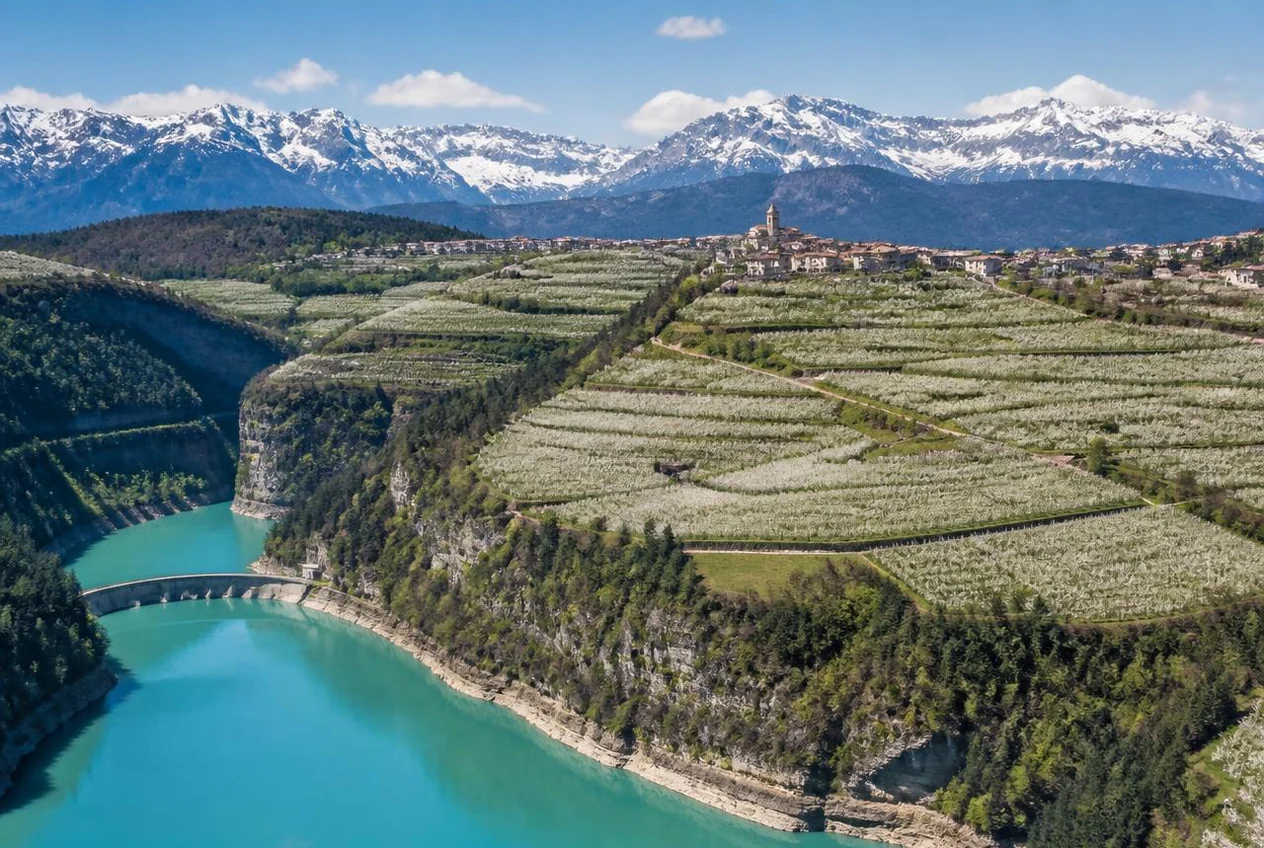 Meleti fioriti della Val di Non con il lago di Santa Giustina sullo sfondo
